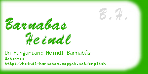 barnabas heindl business card